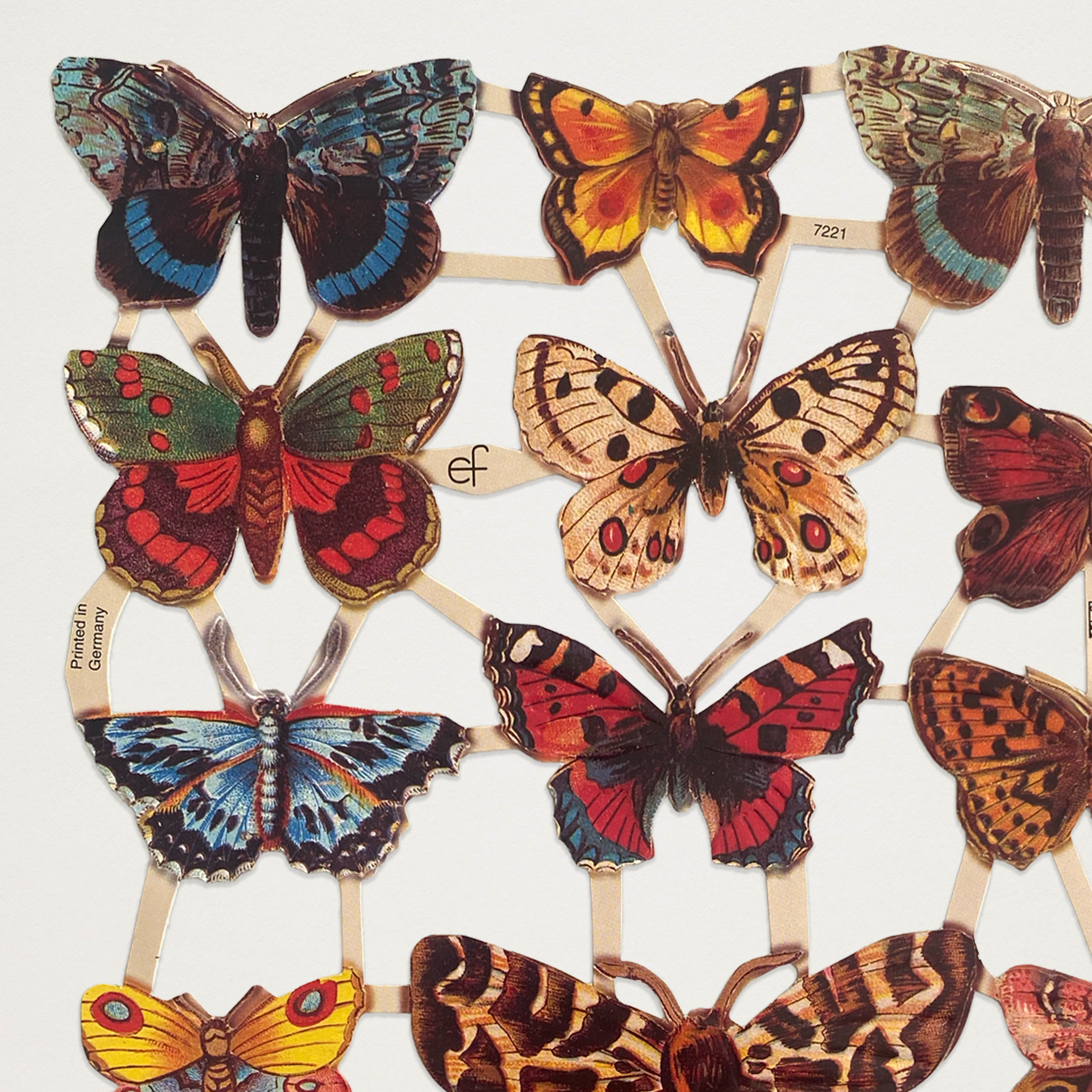 Gravuras vintage borboletas