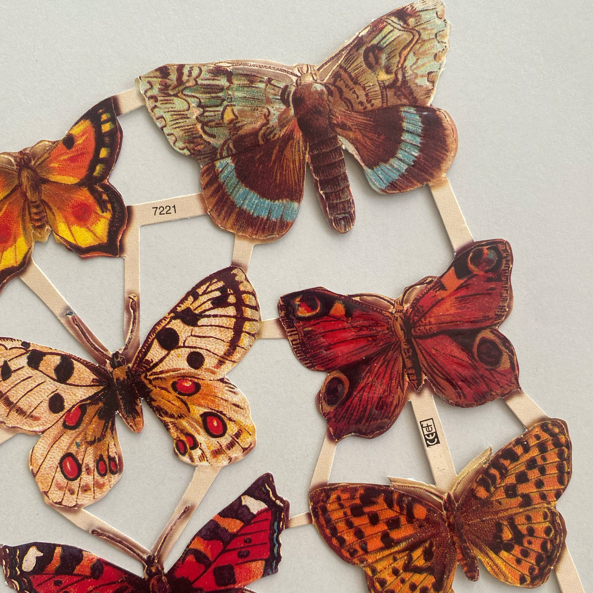 Gravuras vintage borboletas