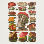 Gravuras vintage cogumelos