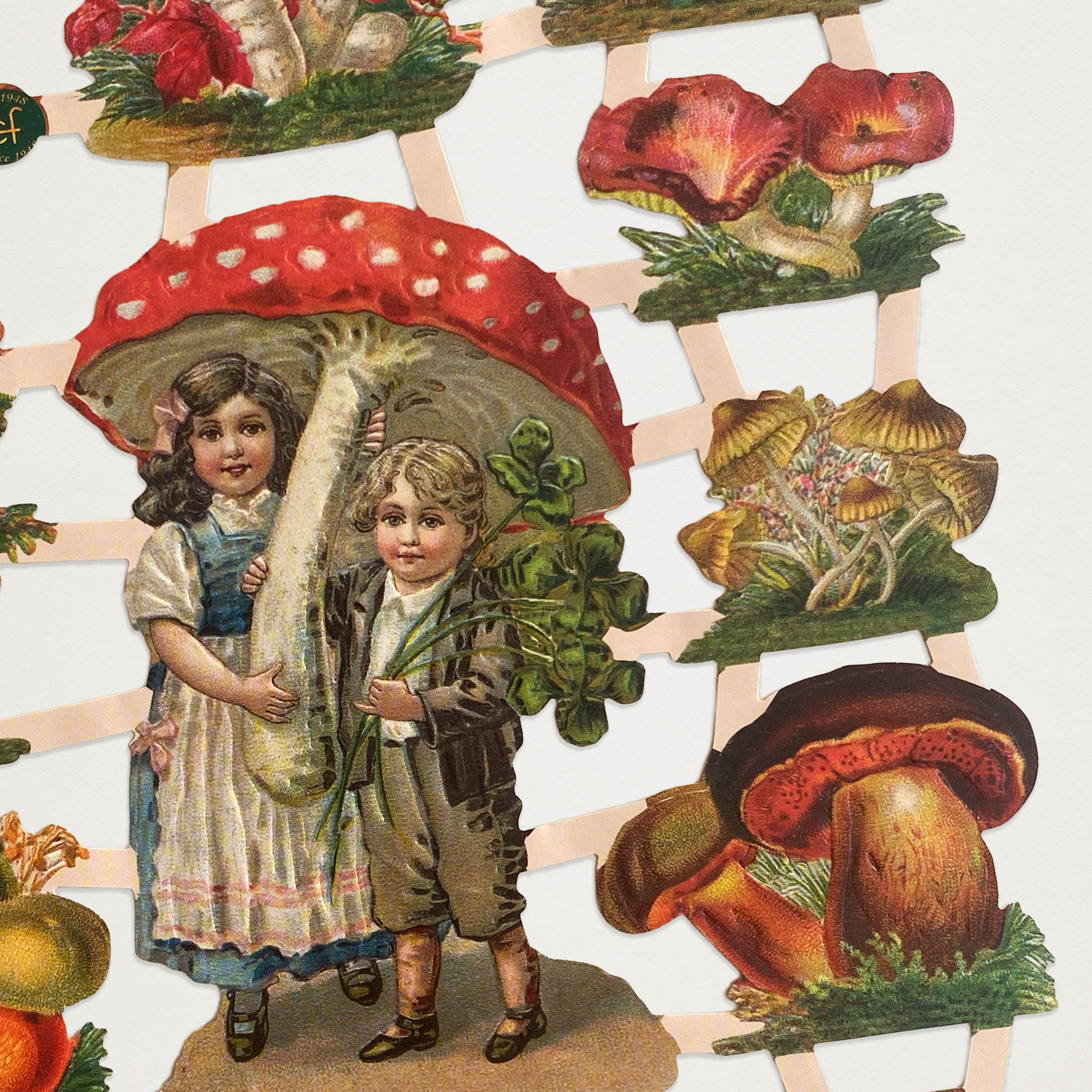 Gravuras vintage cogumelos