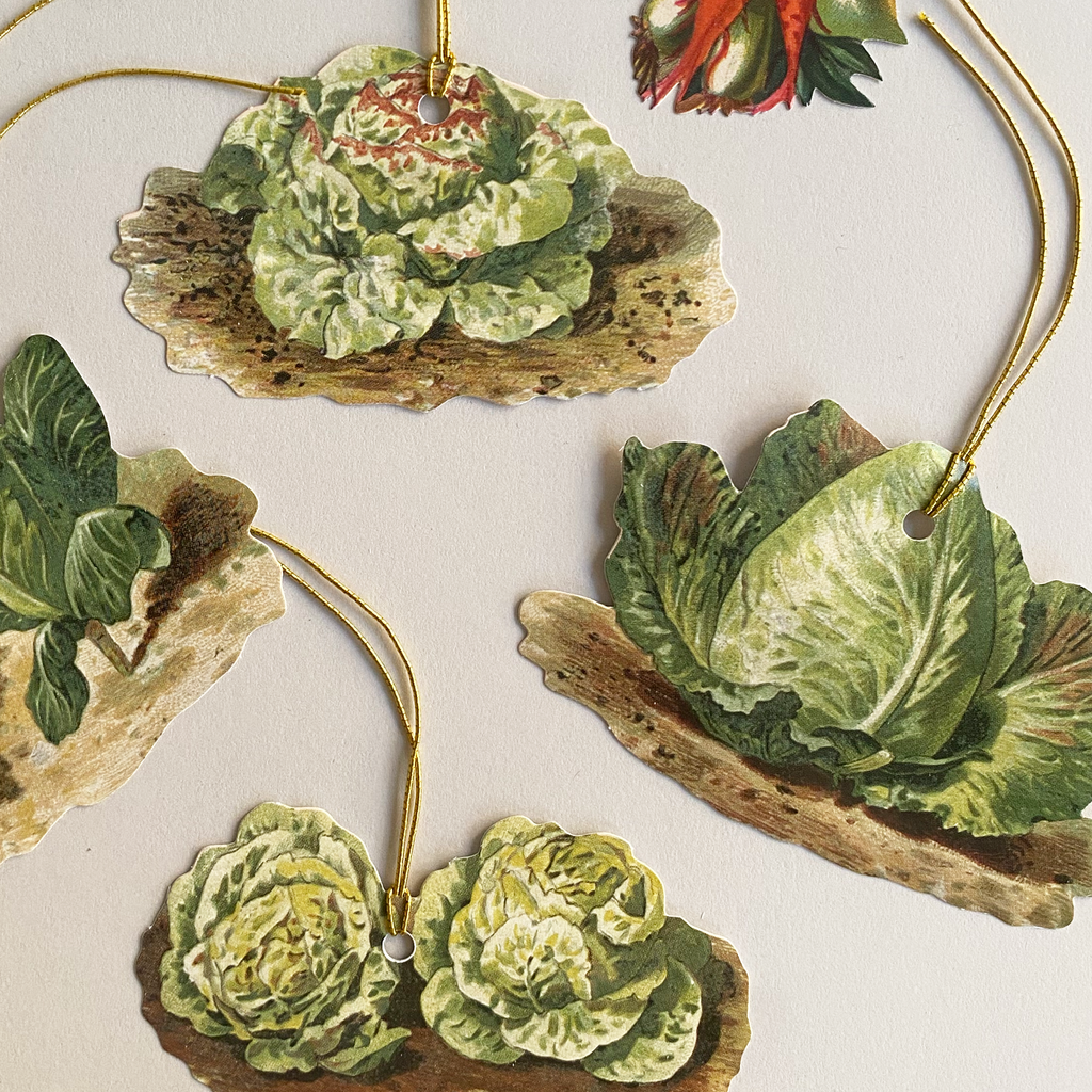 Etiquetas legumes
