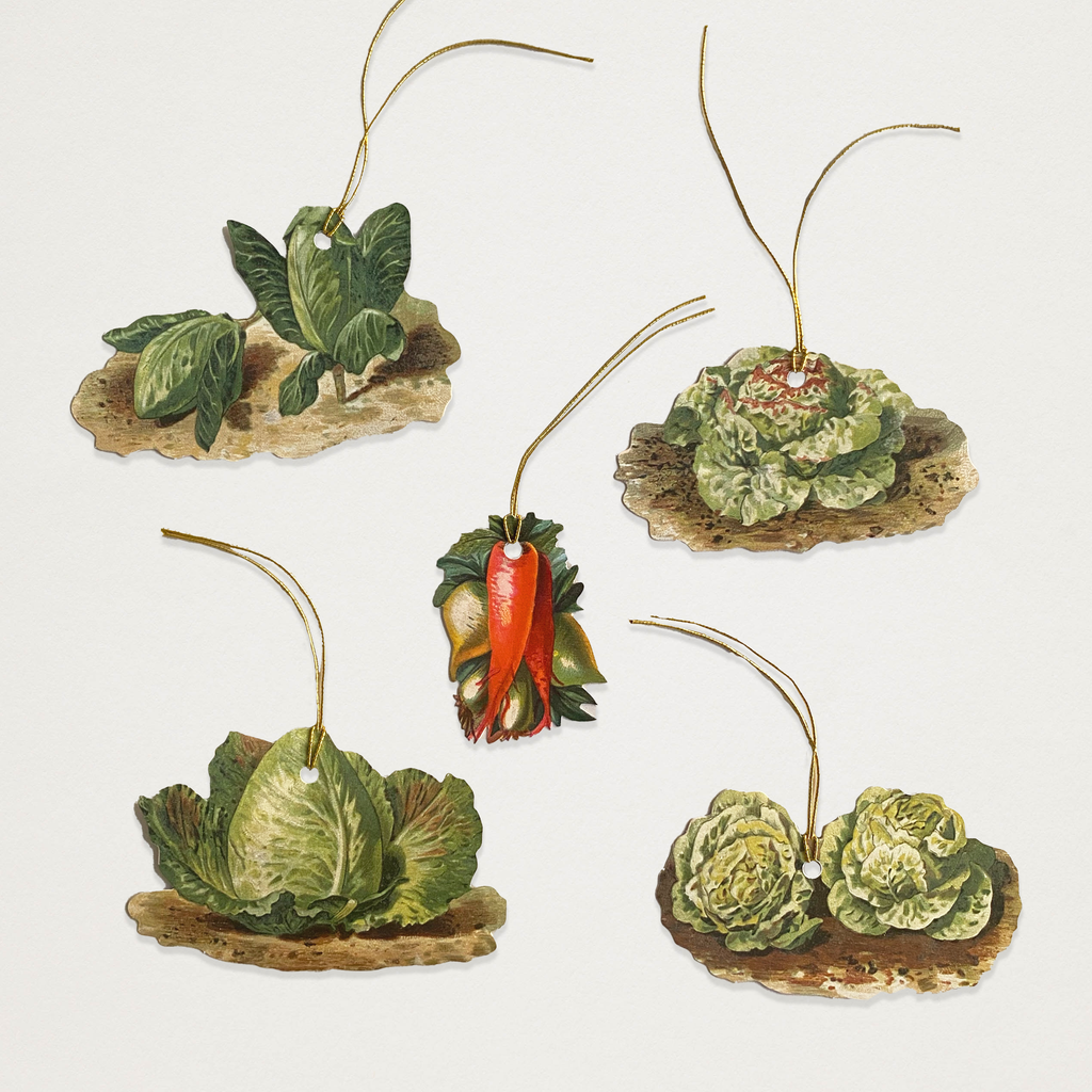 Etiquetas legumes