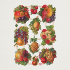 Gravuras Vintage Frutos em Relevo