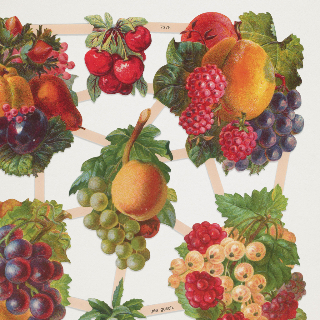 Gravuras Vintage Frutos em Relevo