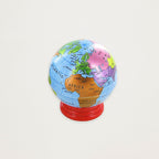 Afia Globo Terrestre