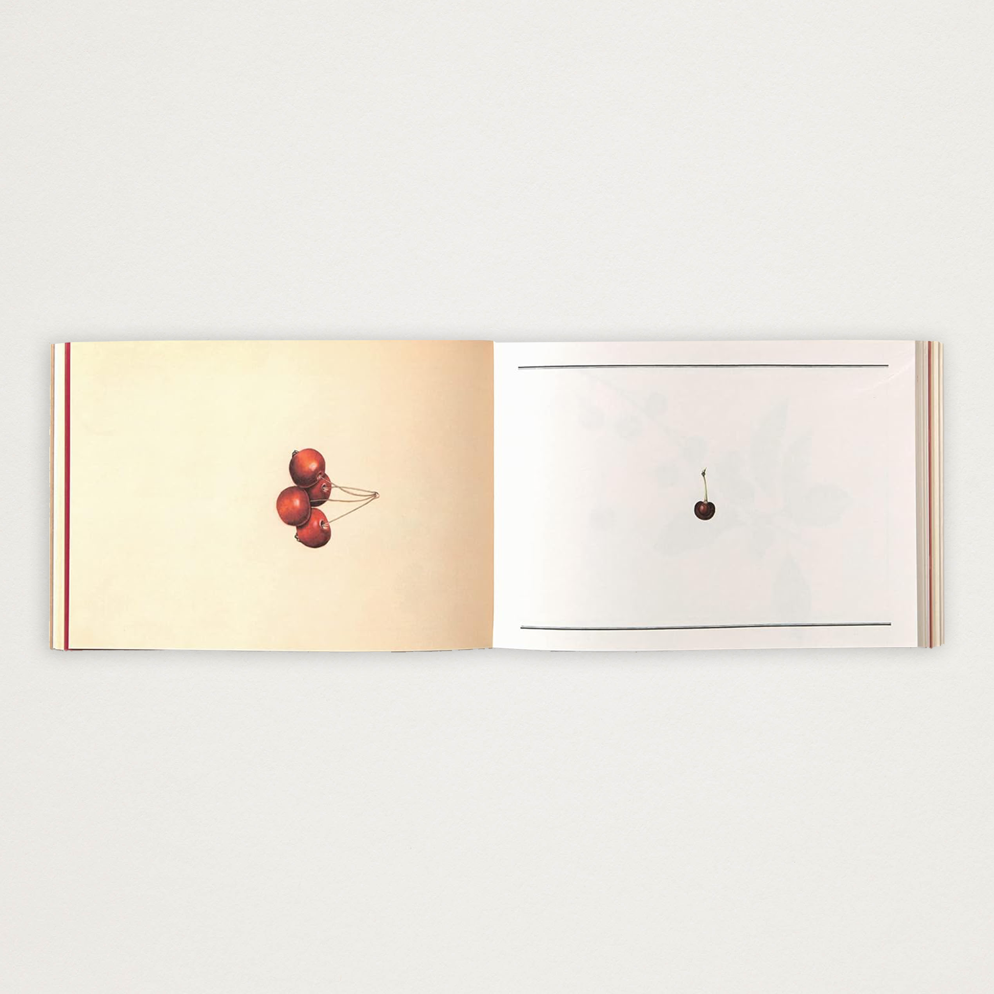 Bloco de Papel de Carta frutas vintage