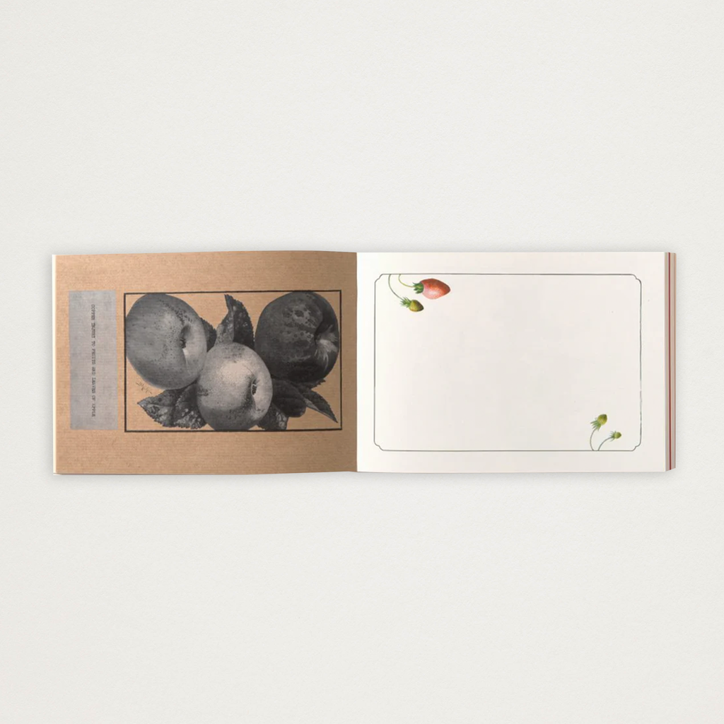 Bloco de Papel de Carta frutas vintage