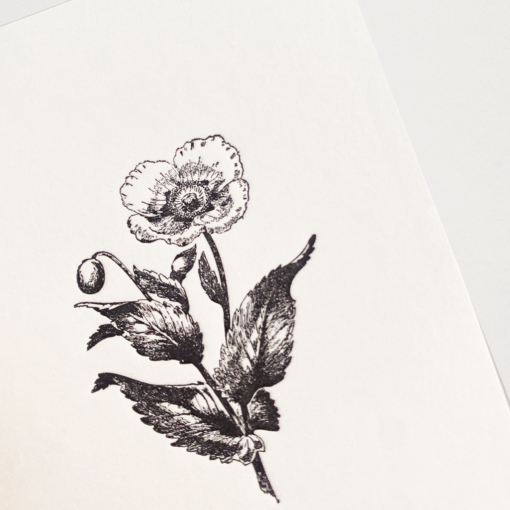 Mini Cartão Papoila em letterpress