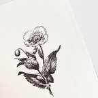 Mini Cartão Papoila em letterpress