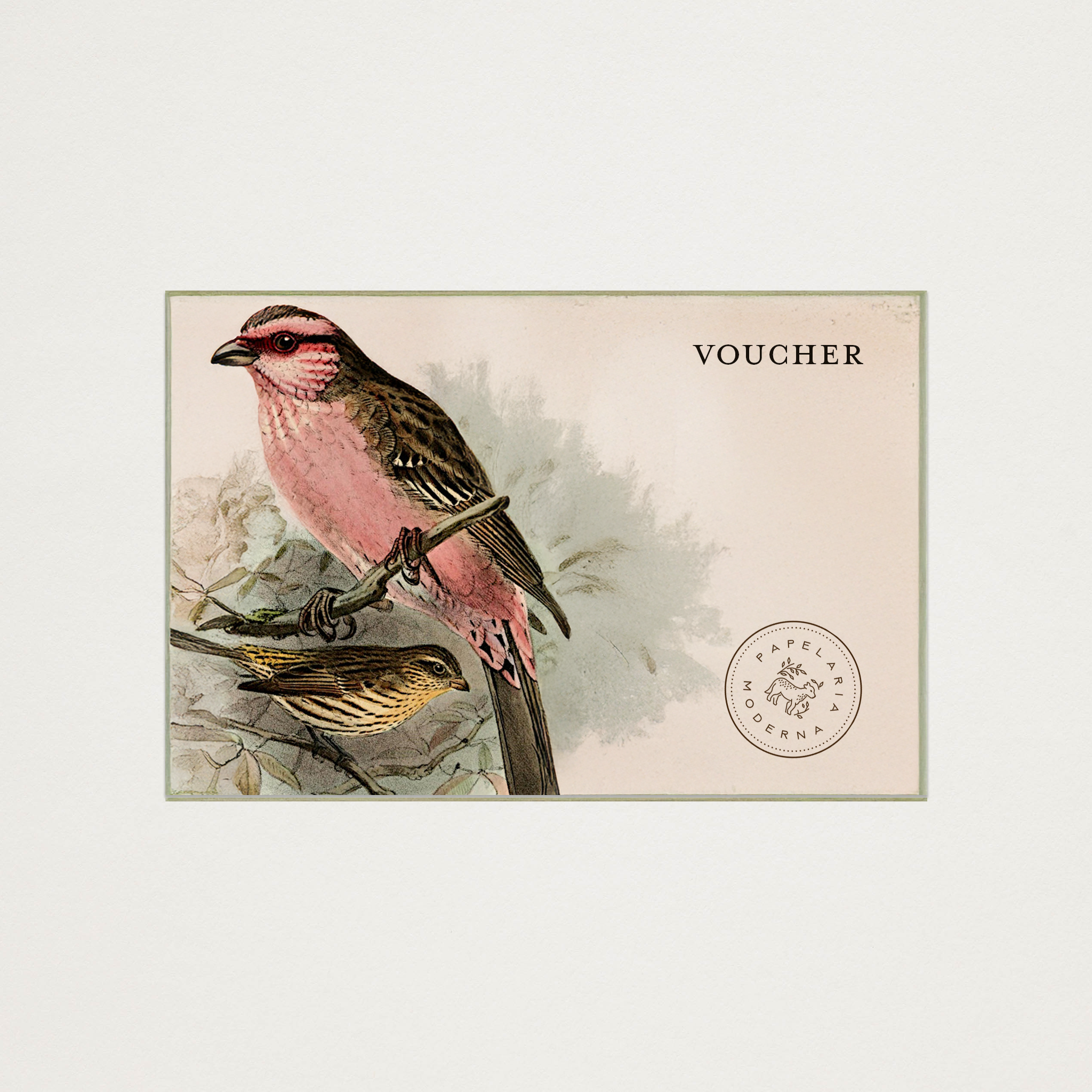 Voucher Papelaria Moderna